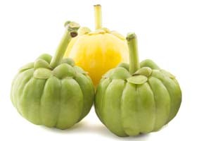 Garcinia Cambogia 