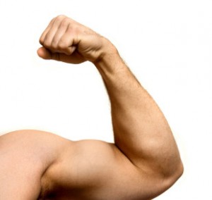 muscular arm 
